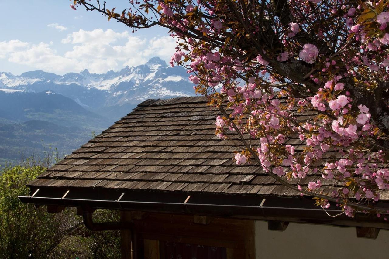 Chalet Cosy Proche Tramway Du Mont-Blanc Et Centre Saint-Gervais-les-Bains Zewnętrze zdjęcie